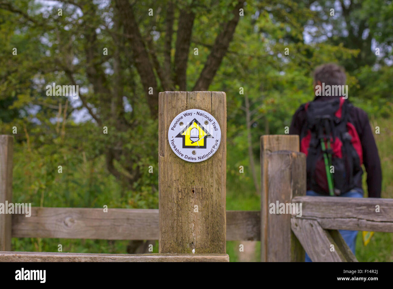 Uomo che cammina la Pennine Way nel Yorkshire Dales Foto Stock