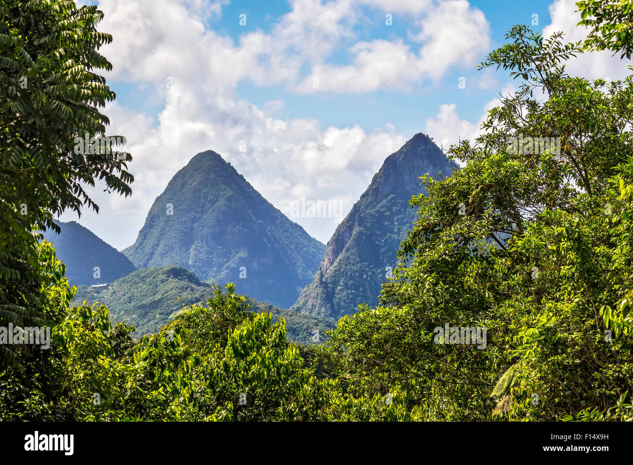 I Pitons St. Lucia West Indies Foto Stock