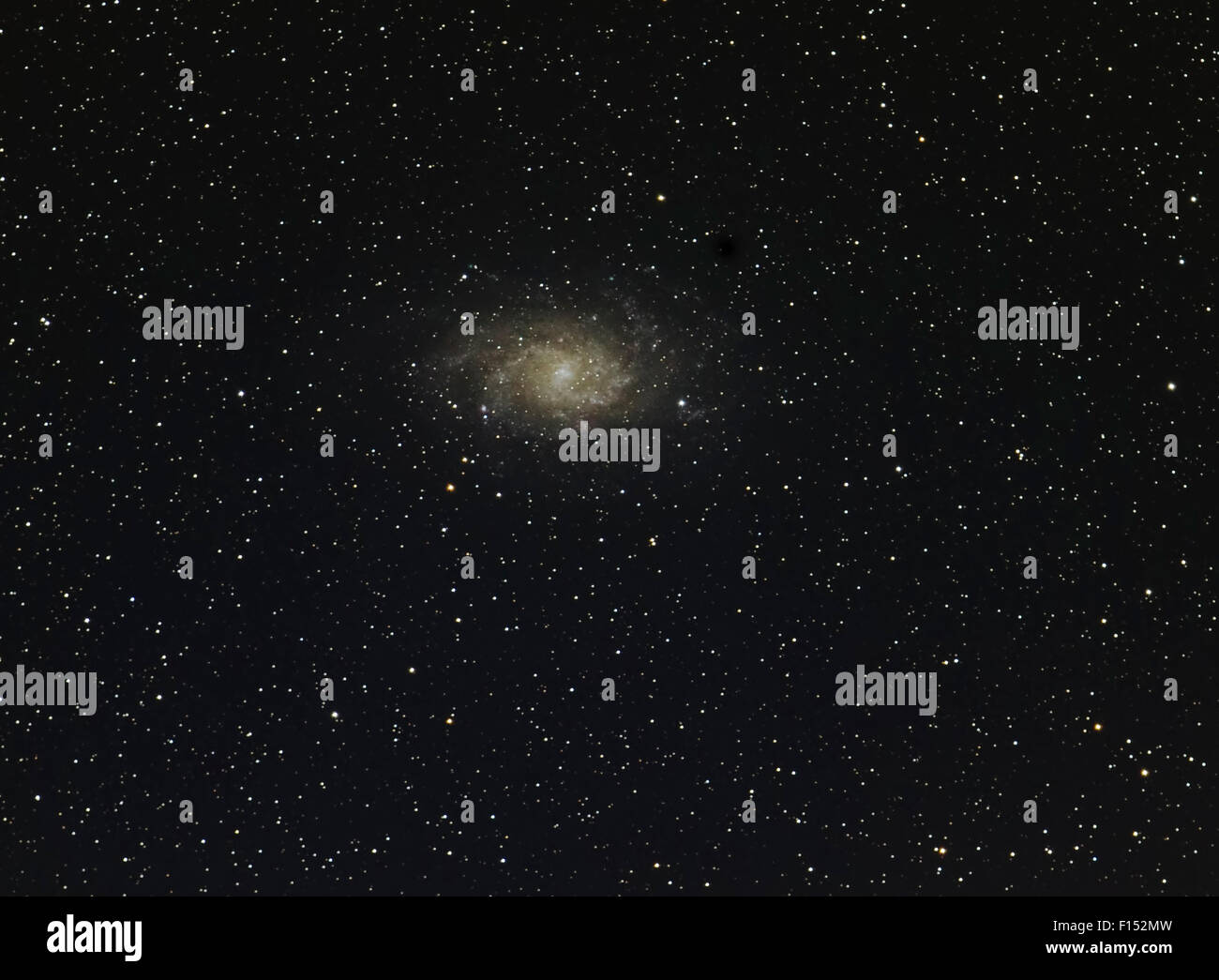 La Girandola Galaxy o Triangulum Galaxy (M33), presa 26 settembre 2014 dall'est Colorado. Presa con messa a fuoco digitale impilamento. Foto Stock