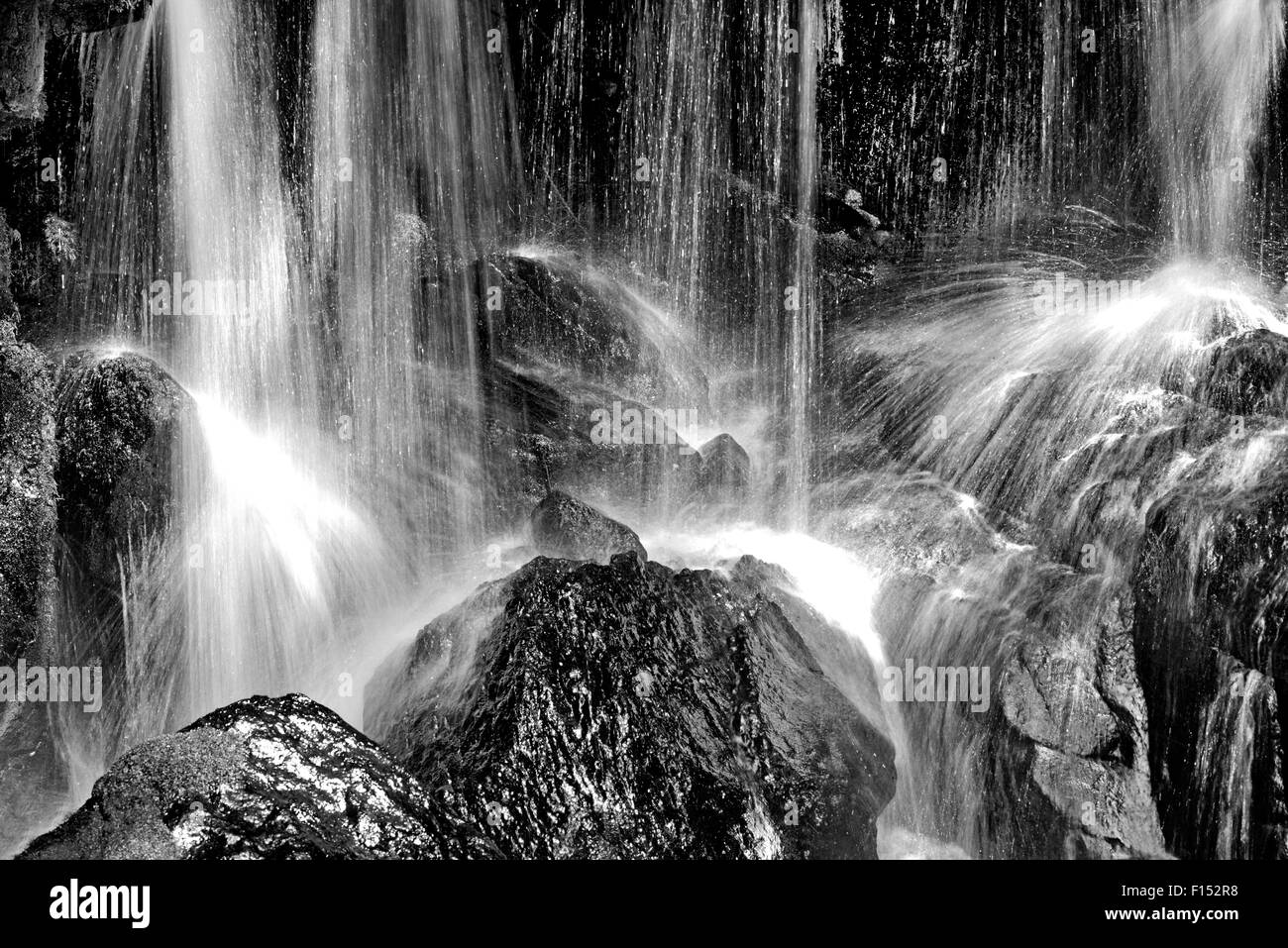 Germania, Foresta Nera: versione in bianco e nero di fresco a cascata la cascata Alb in Menzenschwand Foto Stock