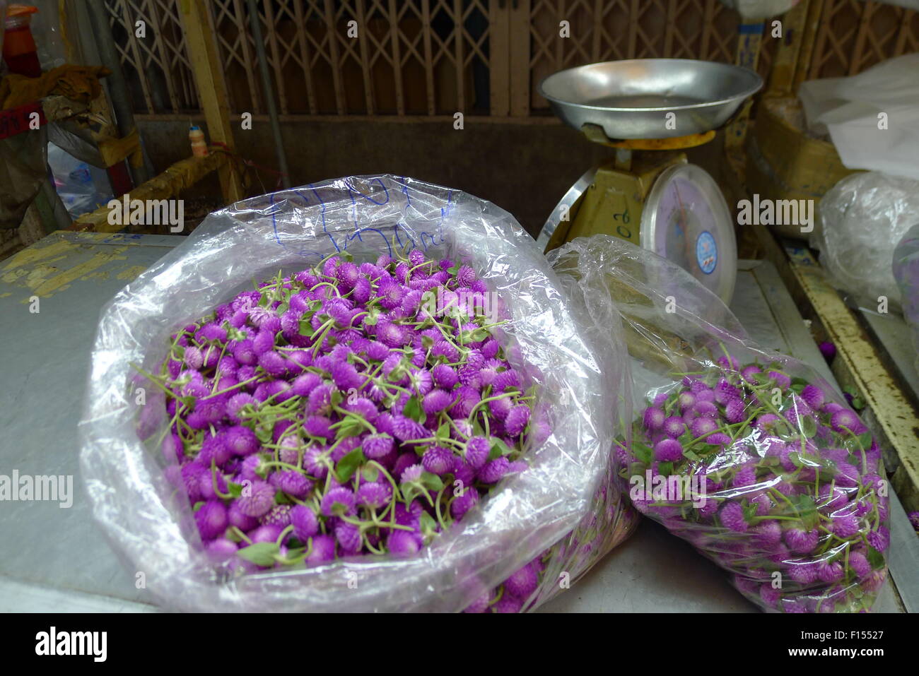Fiore coloratissimo offre al mercato dei fiori a Bangkok Foto Stock