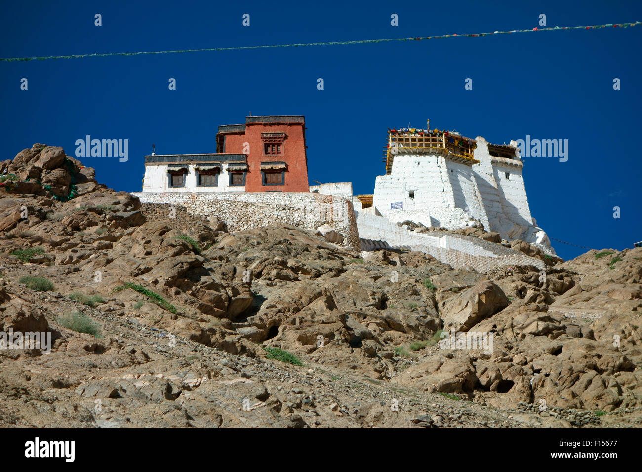 Namgyal Tsemo Gompa sopra Leh, Ladakh, Jammu e Kashmir India Foto Stock