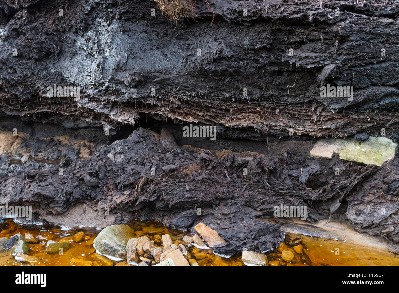 Close up degli strati di torba nella parete di una torba hag, parte di un burrone formato da erosione sulla brughiera, Kinder Scout, Derbyshire, Inghilterra, Regno Unito. Foto Stock