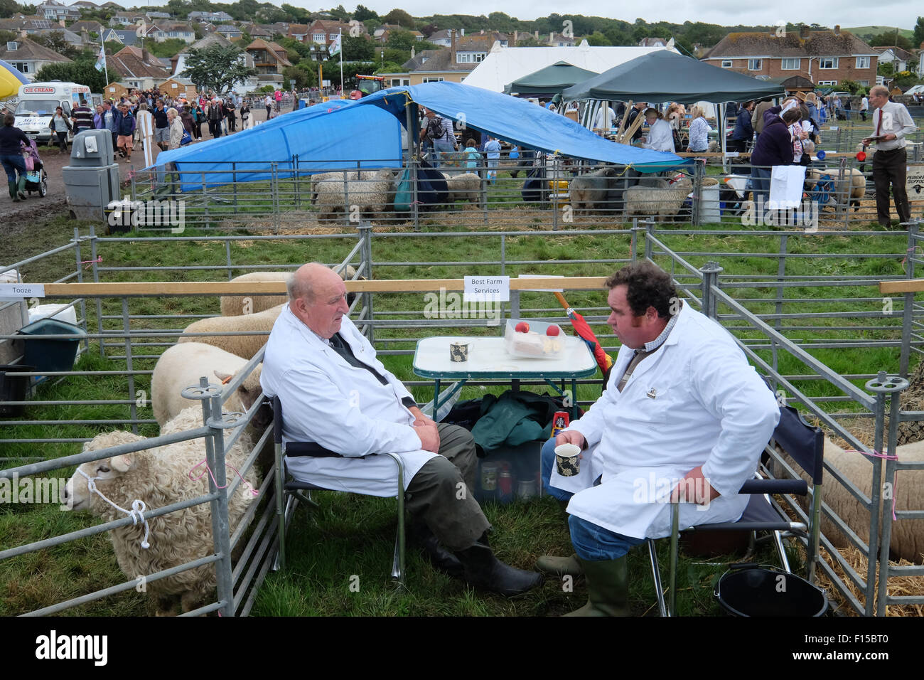 Melplash Show, Bridport, Dorset, Regno Unito. Il 27 agosto 2015. Prendendo una pausa durante il Melplash Show. Il giorno uno spettacolo agricolo è una vetrina e di celebrazione per gli agricoltori locali, produttori, produttori e artigiani e è il sud ovest del premier mostra agricola. Foto Stock