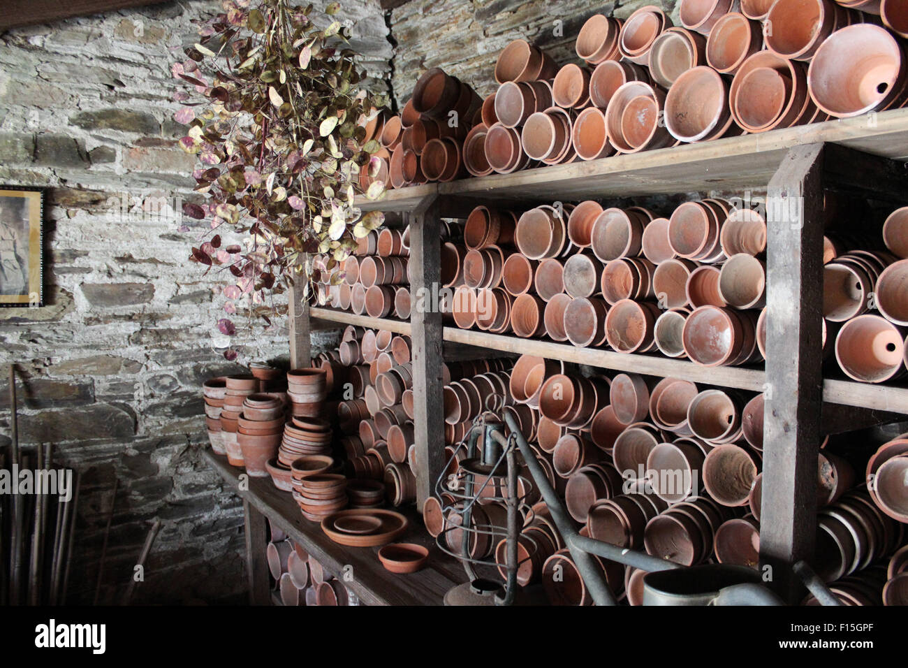 All'interno di un capannone giardinieri alla Lost Gardens of Heligan Foto Stock