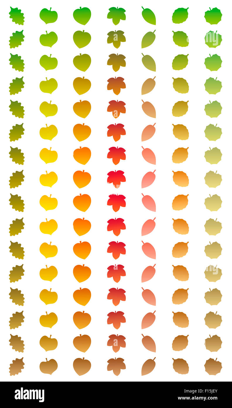 Lascia la modifica dei colori in un anno da verde a colori autunnali e appassiti brown mentre cade fuori. Foto Stock
