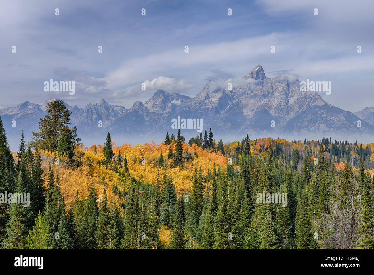 Teton Range con Grand Teton e alberi in autunno fogliame in primo piano, il Parco Nazionale del Grand Teton, Wyoming USA Foto Stock