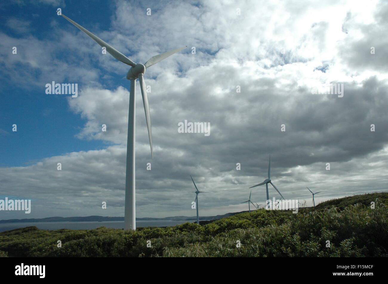 Turbine eoliche Foto Stock