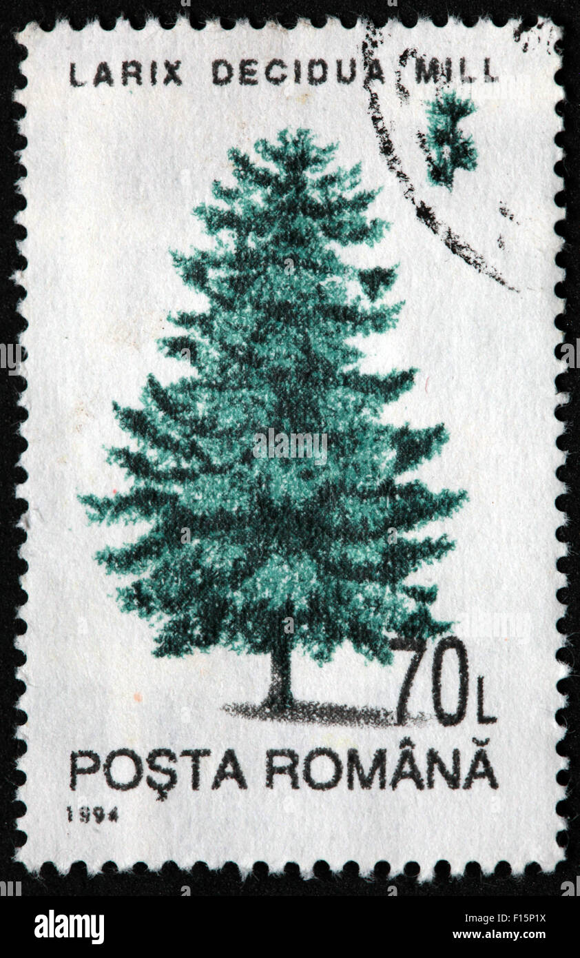 1994 Posta Romana albero 70L Larix decidua Mill Timbro di pino Foto Stock