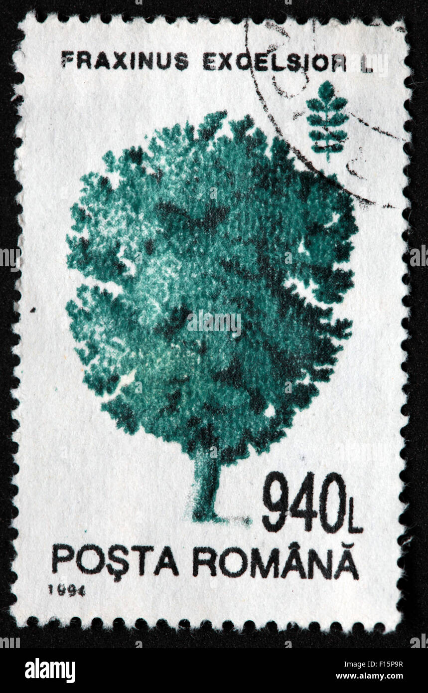1994 Posta Romana tree 940L Fraxinus excelsior L Timbro di pino Foto Stock