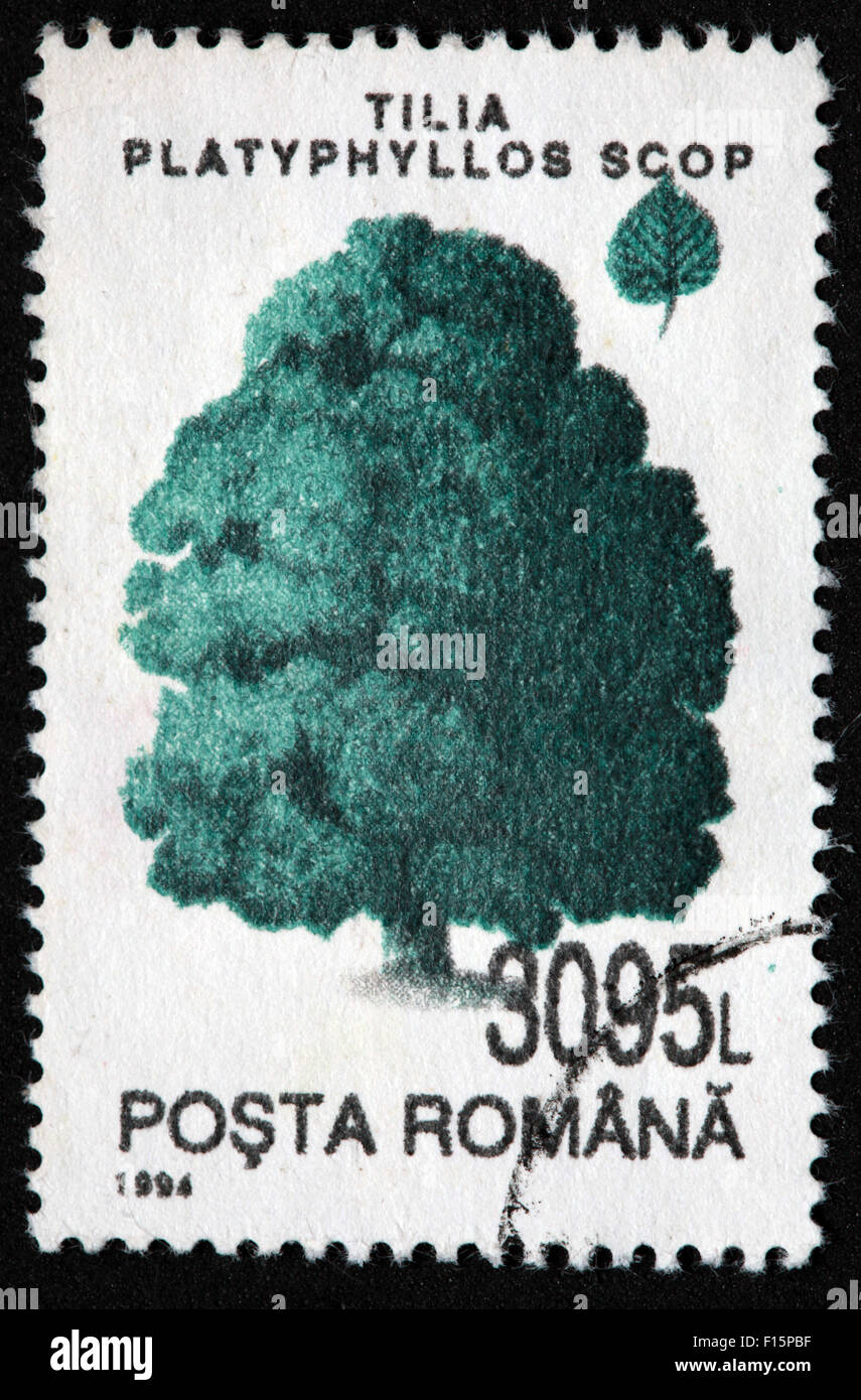 1994 Posta Romana tree 3095L Tilia platyphyllos Scop Timbro di pino Foto Stock