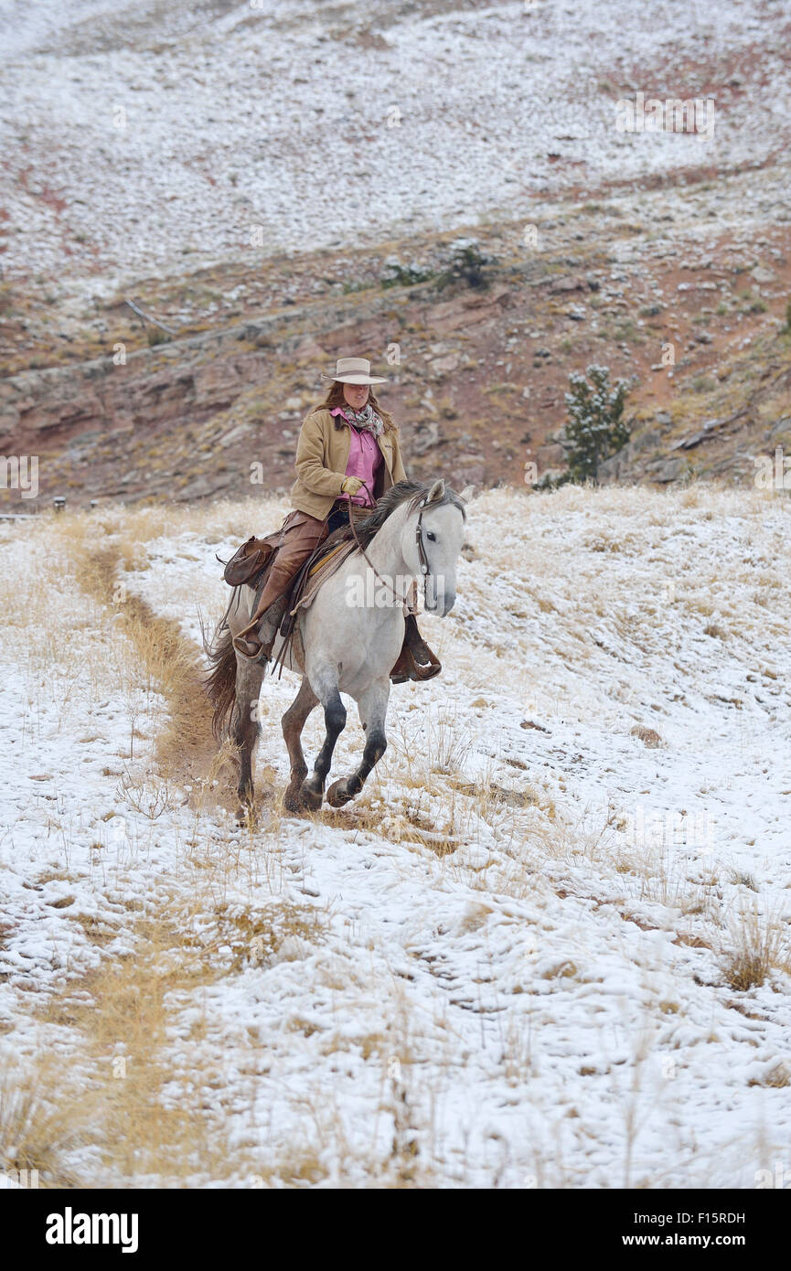 Cowgirl a cavallo nella neve, montagne rocciose, Wyoming USA Foto Stock