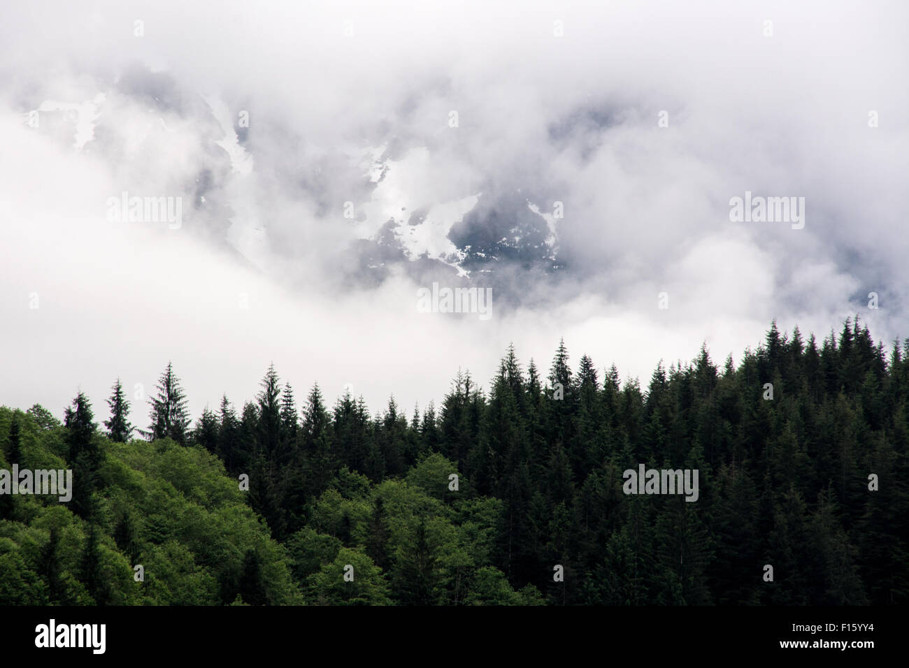 Montagne coperte di neve avvolto in nuvole e la nebbia al di sopra del grande orso nella foresta pluviale, British Columbia, Canada. Foto Stock