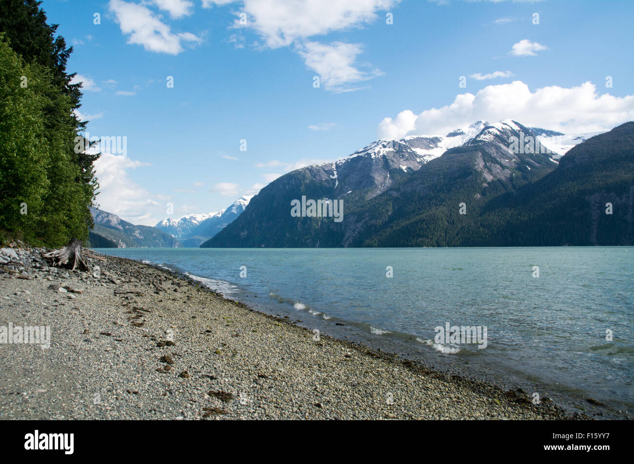 Una spiaggia e montagna fiordi nel canale di Gardner, un ingresso del Pacifico, nel grande orso nella foresta pluviale, British Columbia, Canada. Foto Stock