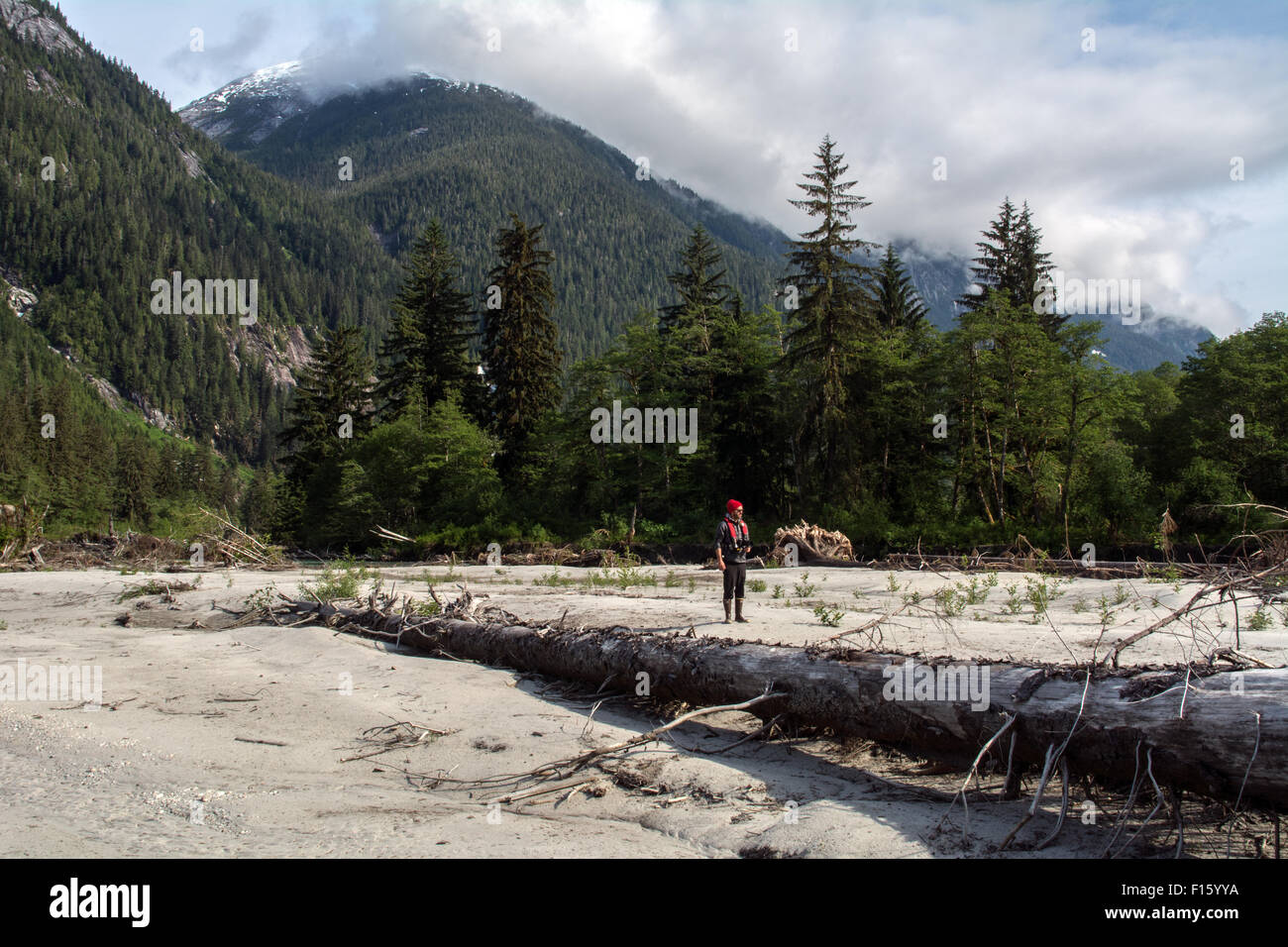 Il crewman di un deserto cavalletti di spedizione in Kowesas estuario del fiume nel grande orso Foresta Pluviale di British Columbia, Canada. Foto Stock