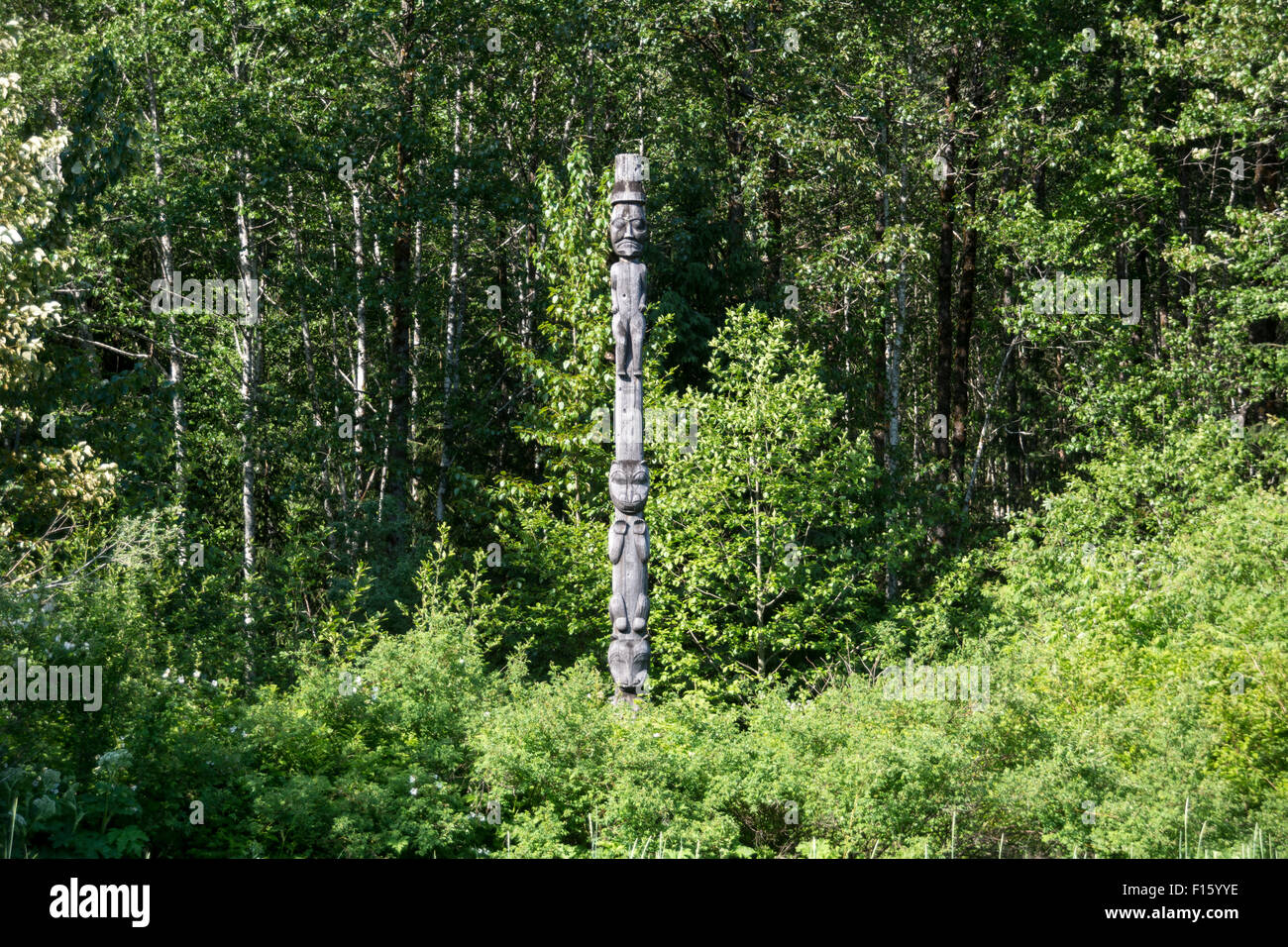 Un Haisla prima nazione mortuaria totem pole nella Kitlope estuario del grande orso Foresta Pluviale di British Columbia, Canada. Foto Stock