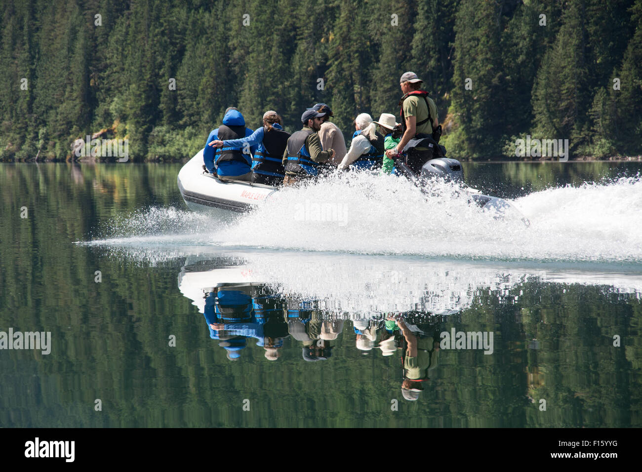 Un gruppo di turisti che viaggiano in un gommone zodiac in Canada il grande orso nella foresta pluviale, situato sulla British Columbia costa. Foto Stock