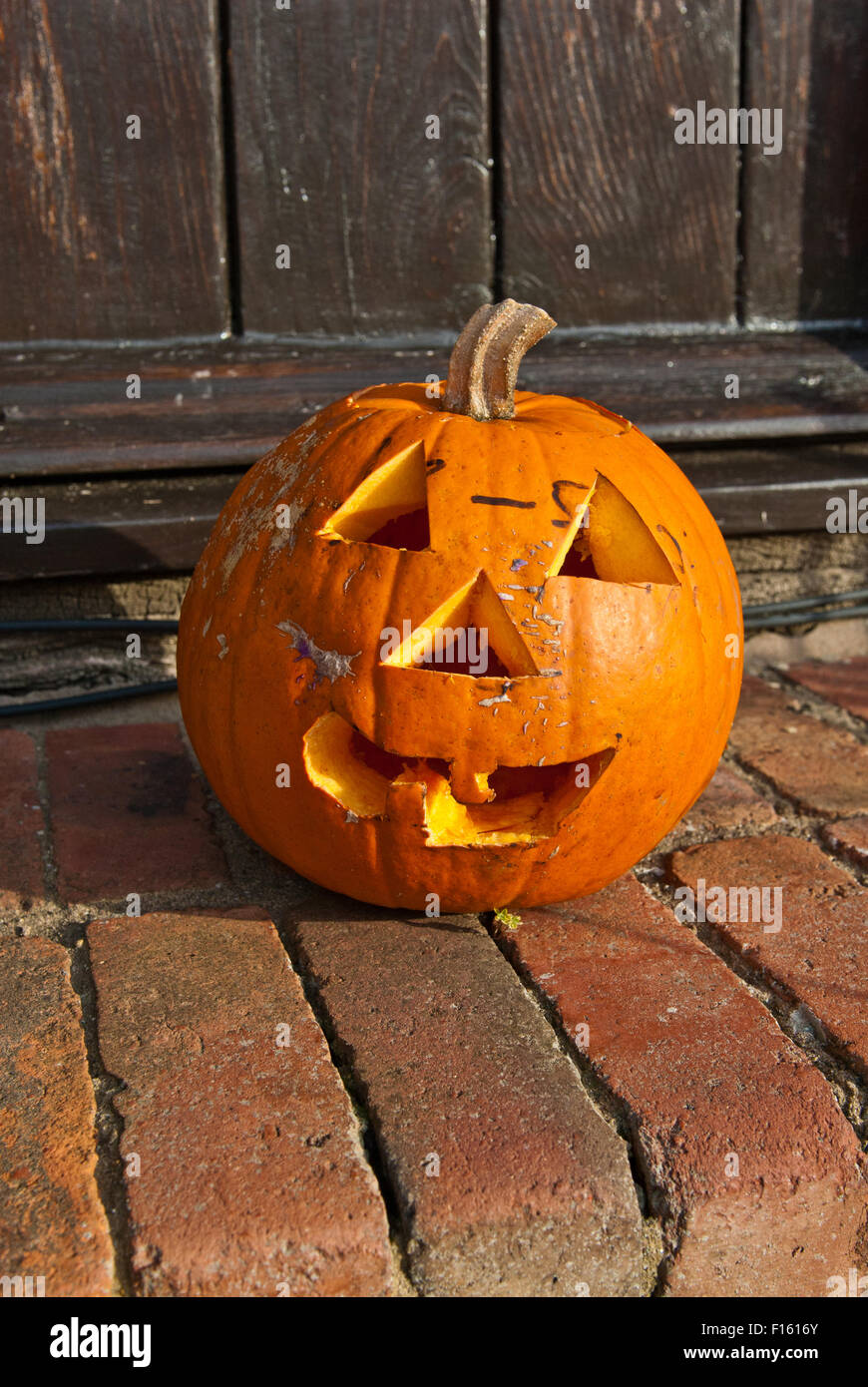 Intagliato Zucca di Halloween Foto Stock