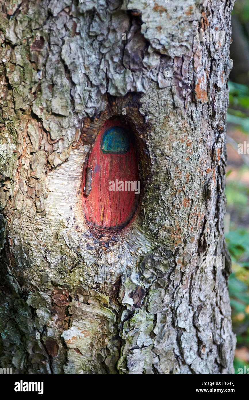 Il segreto della porta in miniatura su albero Foto Stock
