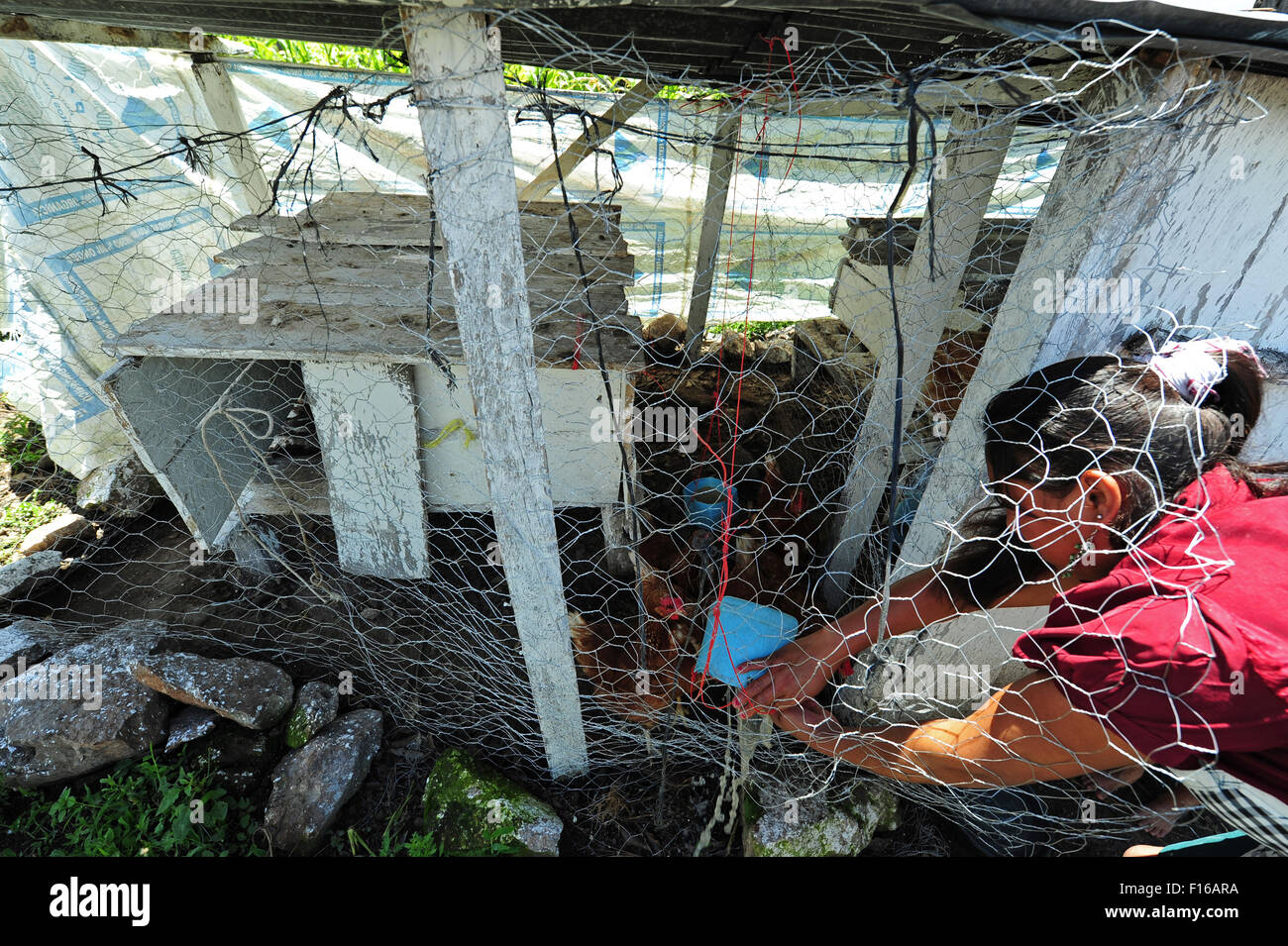Guatemala, Aguacatan, madre dando cibo per animali (Yolanda Leonarda Hernandez Gomez 23 anni) Foto Stock