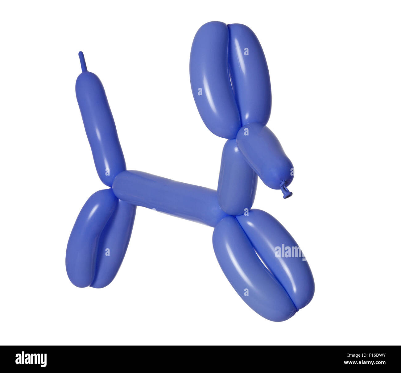 Balloon dog blue immagini e fotografie stock ad alta risoluzione - Alamy