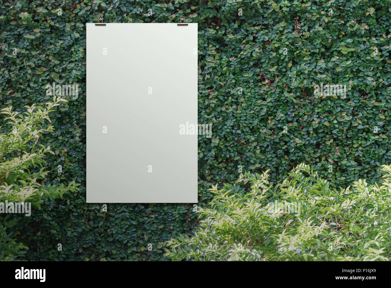 Carta bianca scheda 3d foglie verdi di sfondo a parete Foto Stock