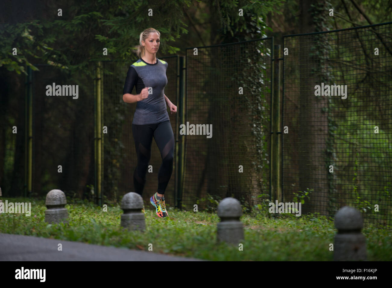 Giovane donna in esecuzione nella foresta boscosa Area - Formazione e di esercizio per il trail corsa maratona Endurance - Fitness su uno stile di vita sano Foto Stock