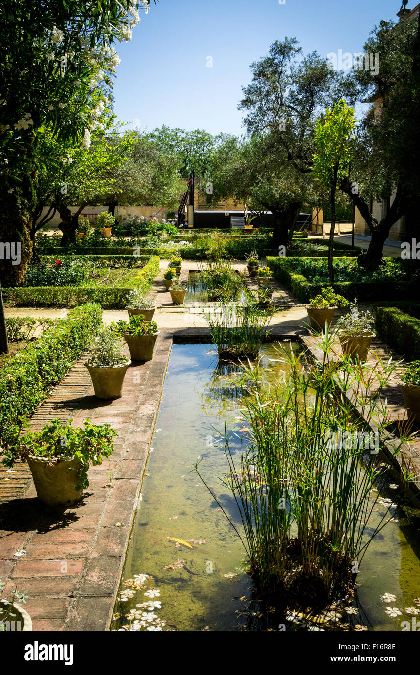 Il giardino nella vecchia fortezza moresca (l'Alcazar) in Jerez de la Frontera, Spagna. Foto Stock