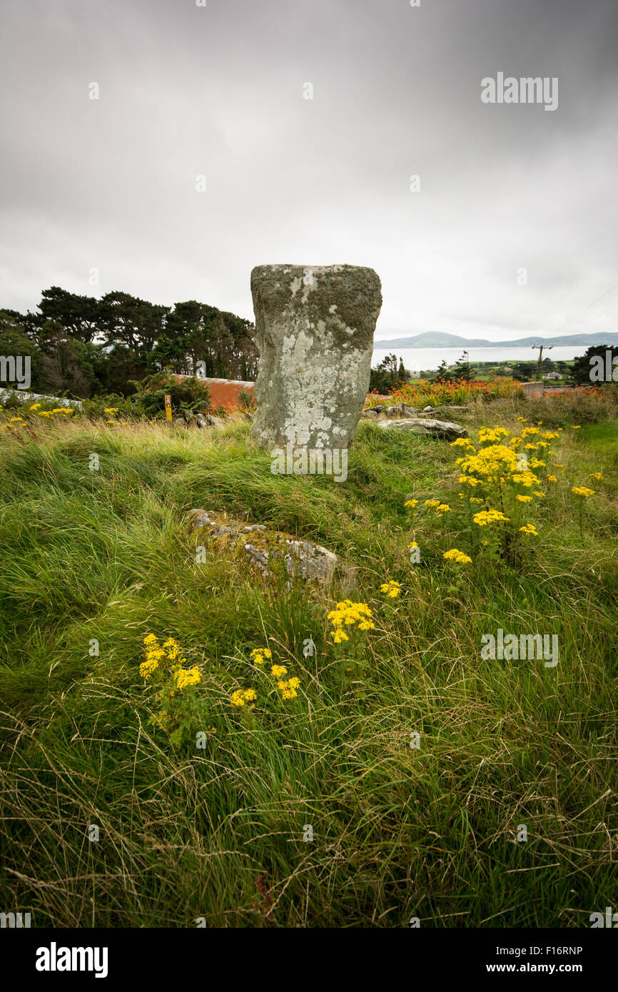 Pietra permanente sulla testa di pecora Penisola, West Cork, Irlanda Foto Stock
