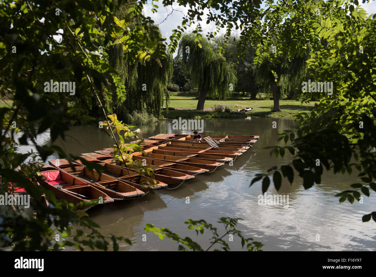 Cambridge, Cambridgeshire, Inghilterra, Regno Unito. Punting sul fiume Cam a Mill Pond. 28 Agosto 2015 Foto Stock