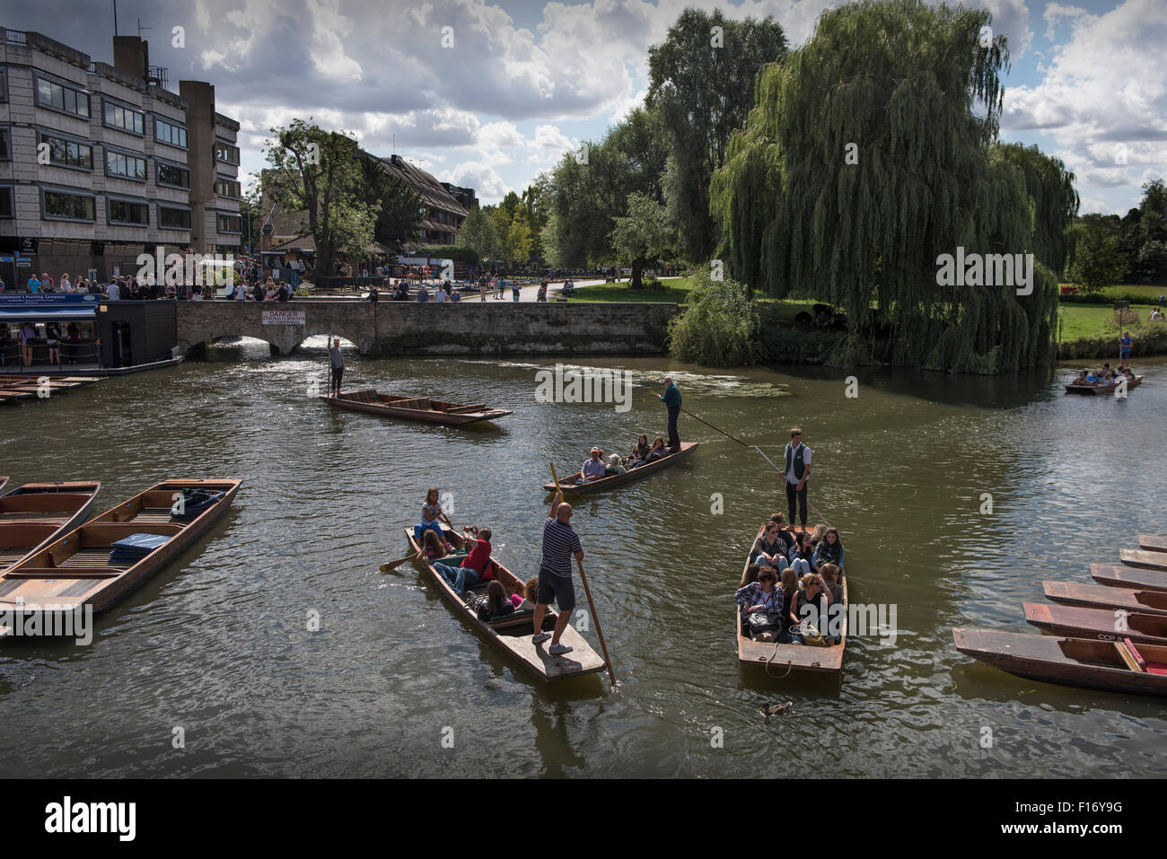 Cambridge, Cambridgeshire, Inghilterra, Regno Unito. Punting sul fiume Cam. 28 agosto 2015 Punting a Silver Street sulla camma Foto Stock