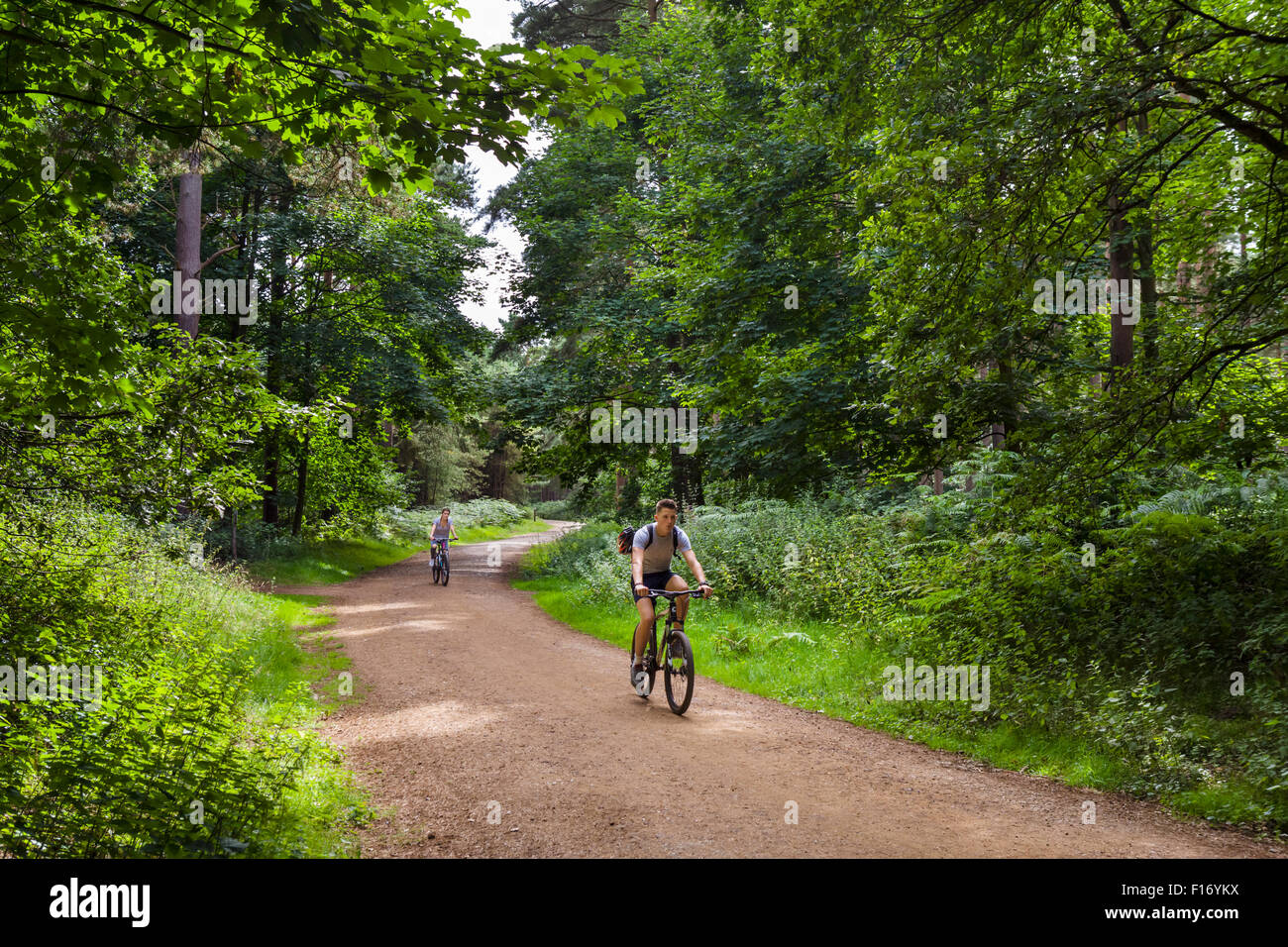 I ciclisti su un sentiero attraverso la foresta di Thetford, Norfolk, Inghilterra, Regno Unito Foto Stock