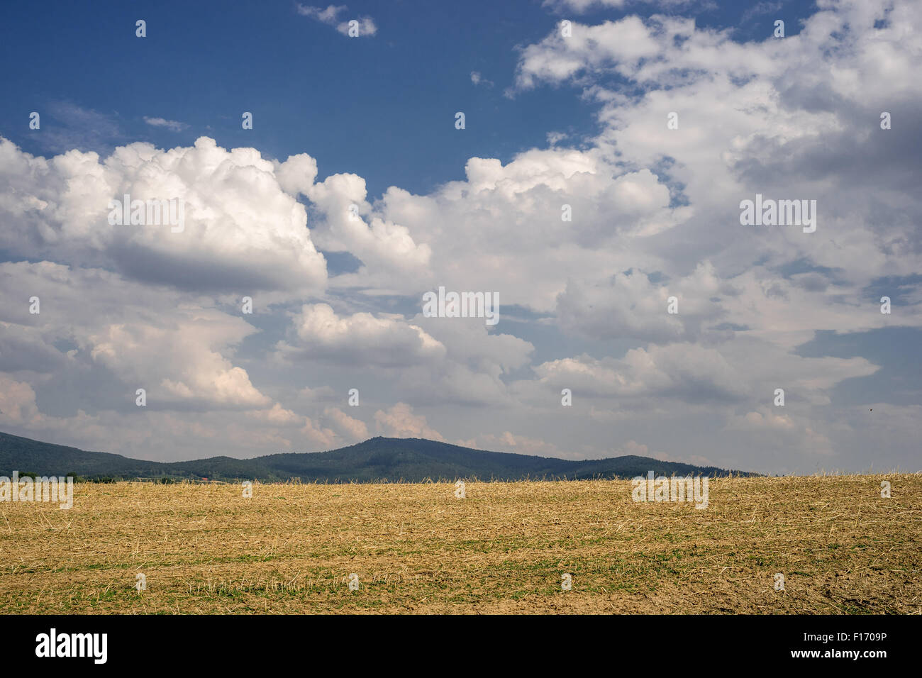Il Cumulus bianche nuvole nel cielo blu sulla stoppia Bassa Slesia Polonia Foto Stock