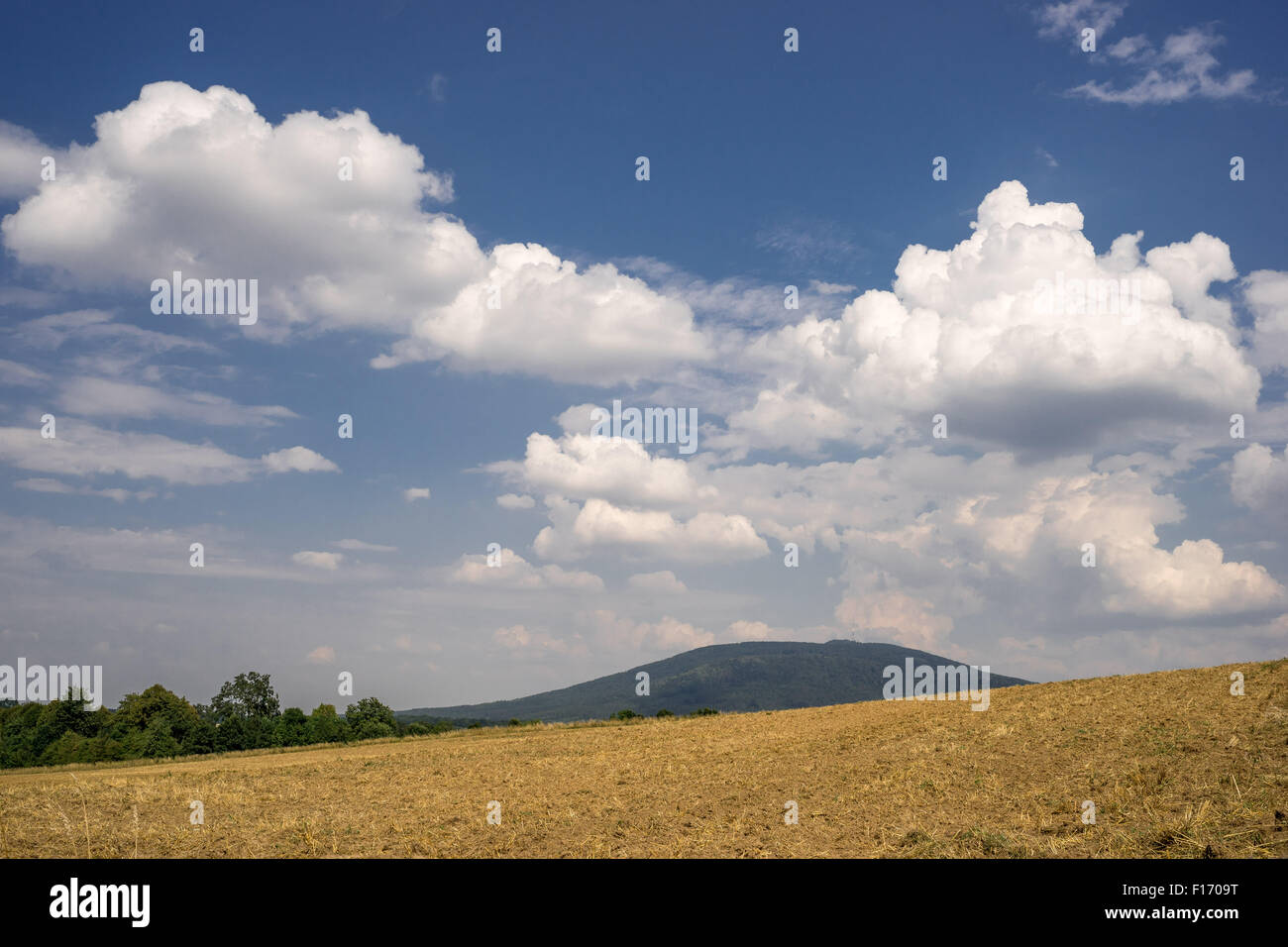 Il Cumulus bianche nuvole nel cielo blu sulla stoppia Bassa Slesia Polonia Foto Stock