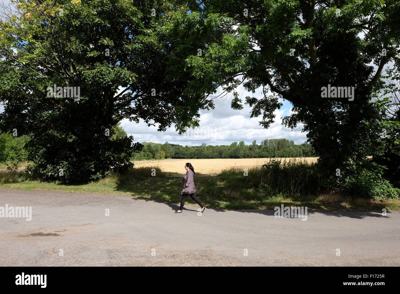 Donna che cammina nel parco garendon loughborough Foto Stock
