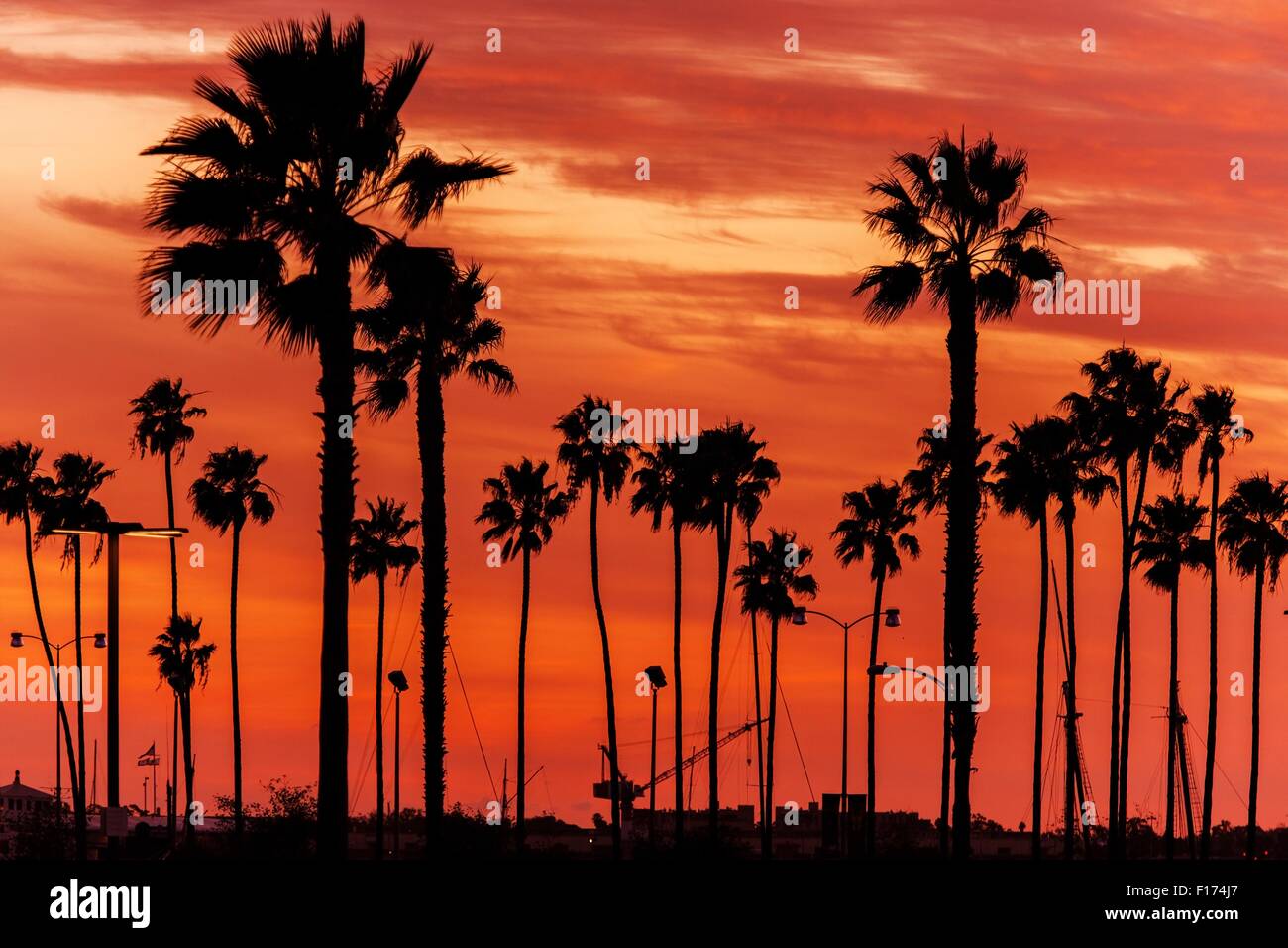 California Sanset scenario. Tramonto rossastro Sky e California Palms. Sullo sfondo del tramonto. Foto Stock