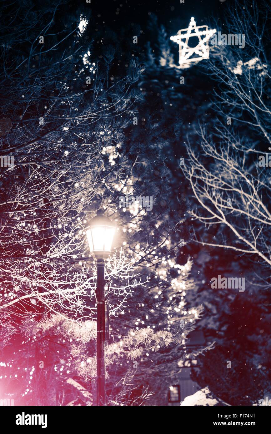 Stagione di vacanze paesaggio con albero di Natale, Parco lanterna e caduta di neve. Sfondo di natale Foto Stock