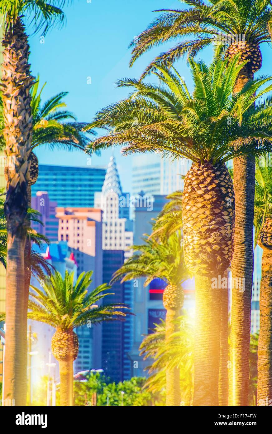 Las Vegas Strip scenario. Vegas Palms e la striscia in verticale la fotografia. Foto Stock