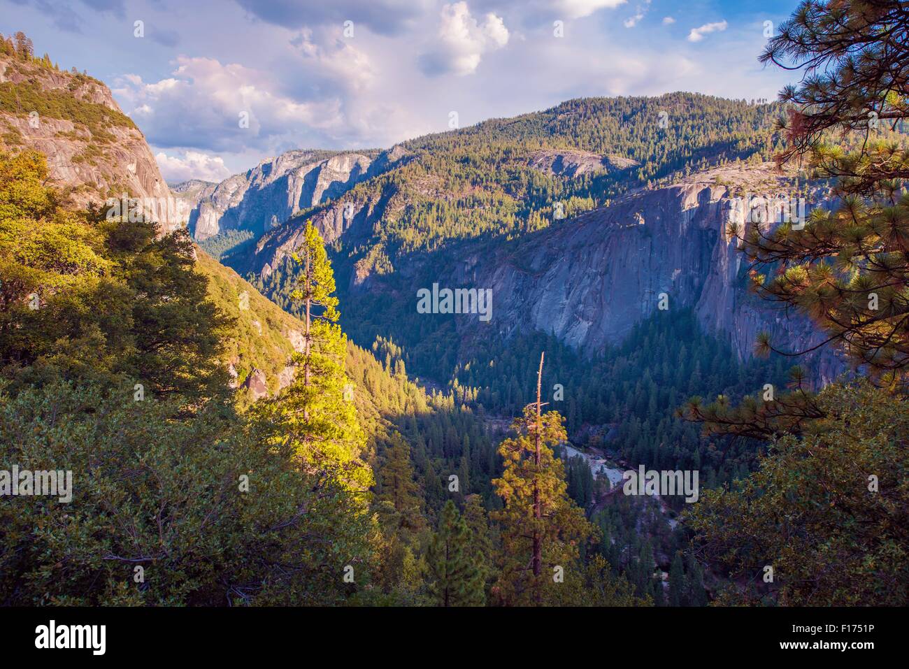 Sierra Nevada paesaggio. Il parco nazionale di Yosemite Valley, Stati Uniti. Foto Stock