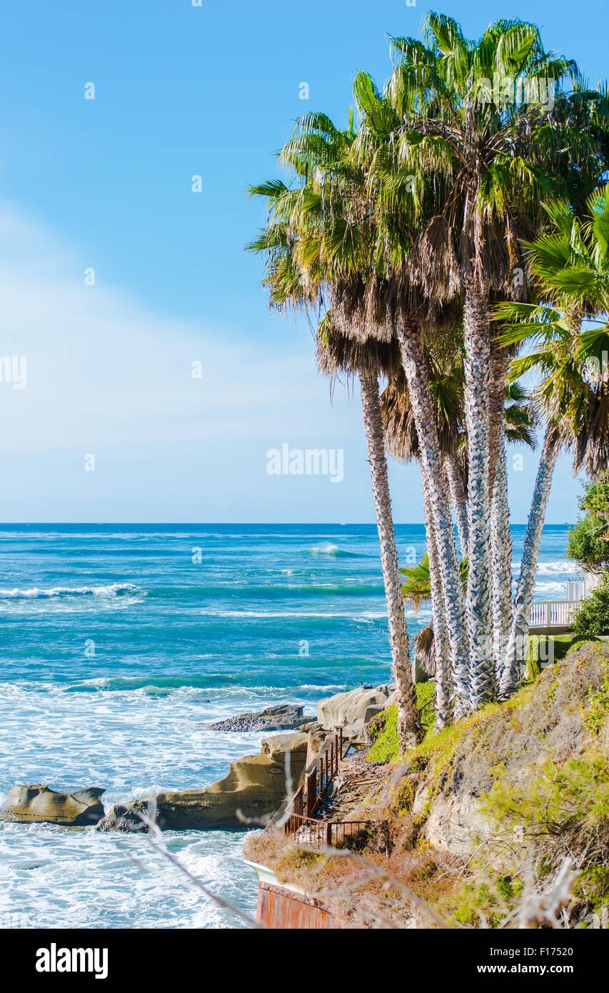 California del Sud Costa del Pacifico - San Diego Costa con alberi di palma. Foto Stock