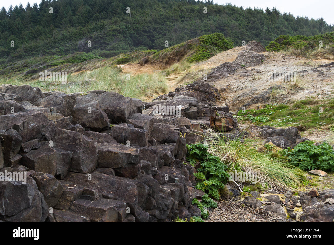 La funzione naturale nella central Oregon Coast dove roccia lavica riempito di crepe e solidificato che separa la messa a terra Foto Stock
