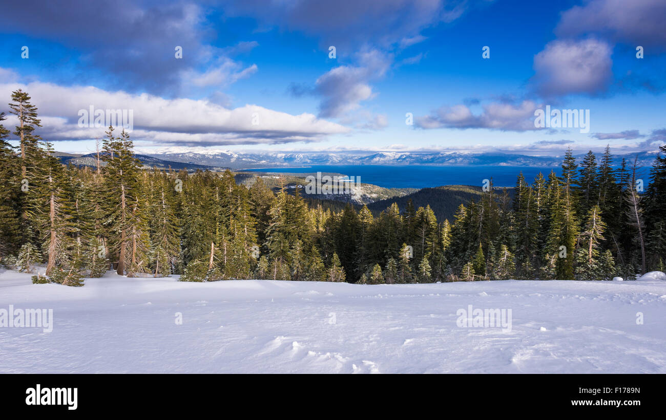 Lake Tahoe da praterie alpine ski area, Squaw Valley, California Foto Stock