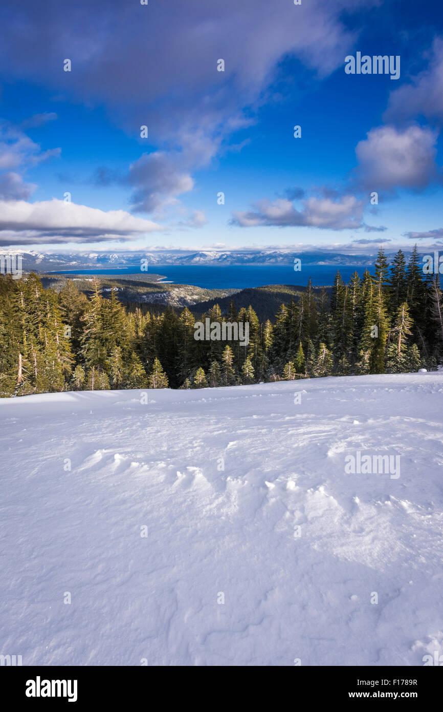 Lake Tahoe da praterie alpine ski area, Squaw Valley, California Foto Stock