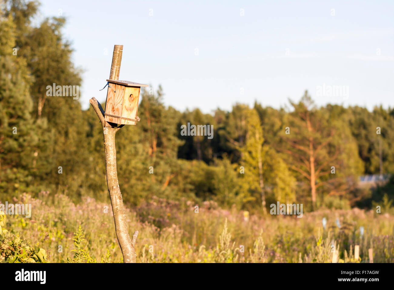 Uomo di legno fatti birdhouse al tramonto attaccato ad un ramo Foto Stock