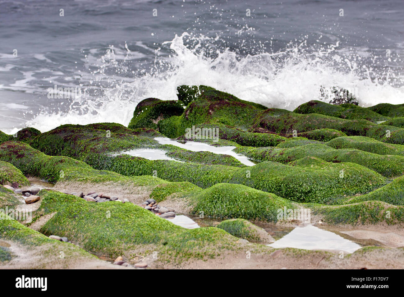 Splendida vista di surf sulla roccia verde in spiaggia in primavera,Taiwan Foto Stock