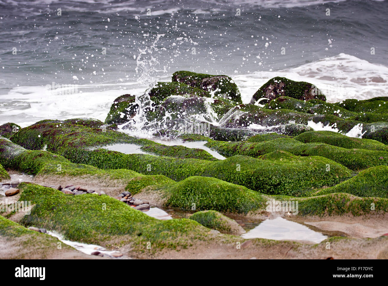 Splendida vista di surf sulla roccia verde in spiaggia in primavera,Taiwan Foto Stock