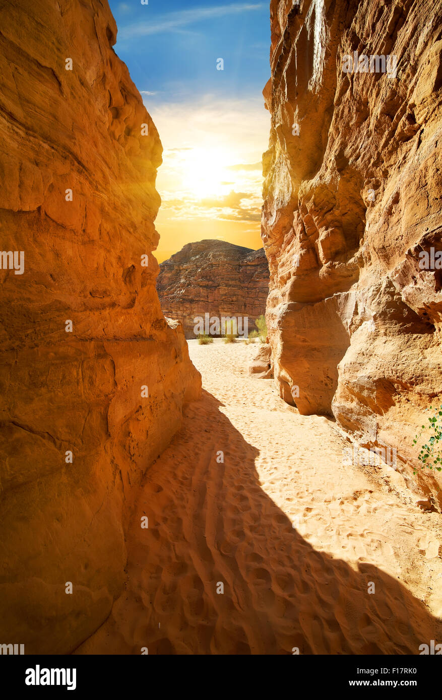 Roccioso canyon nel deserto alla giornata di sole Foto Stock