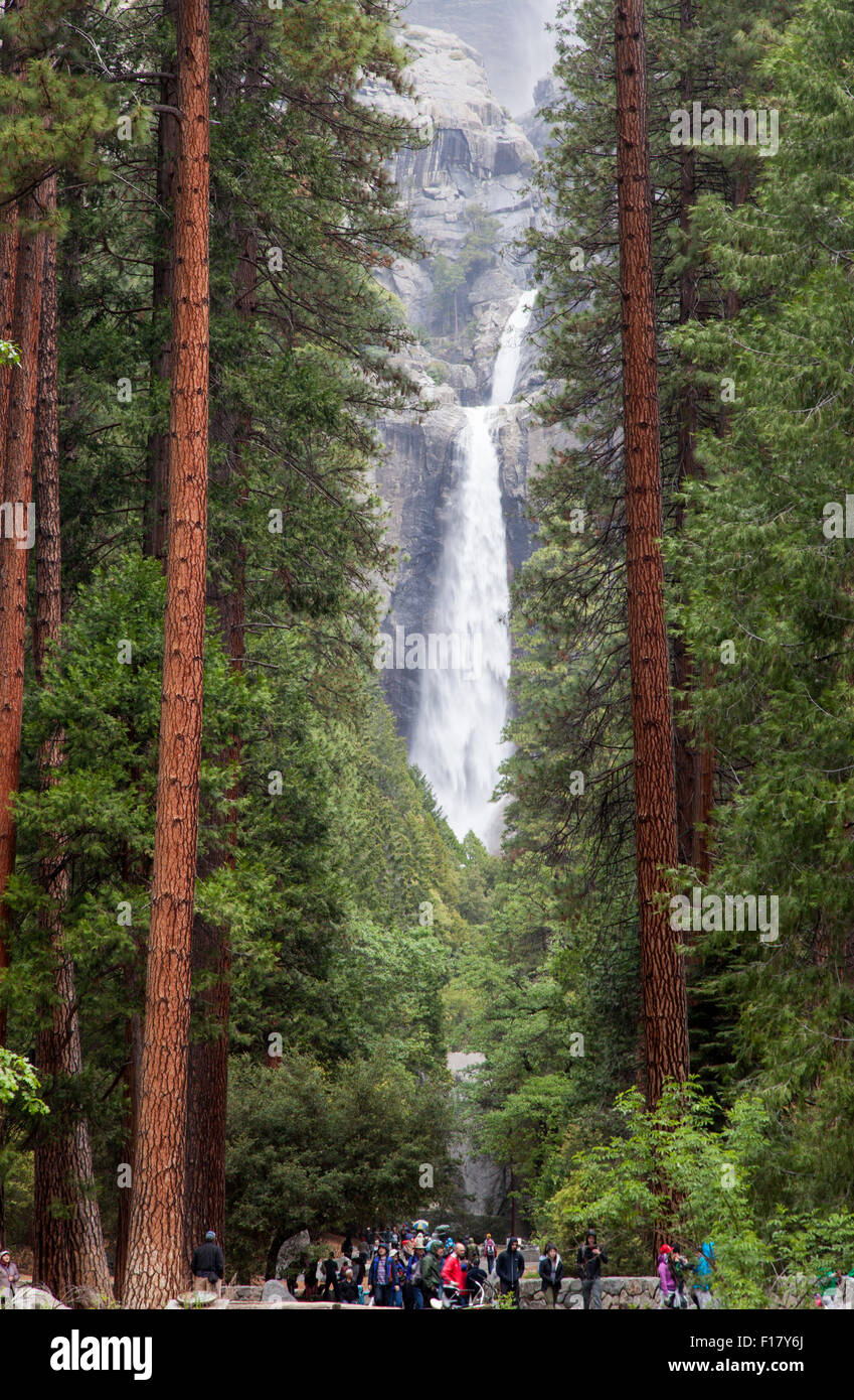 Abbassare Yosemite Falls, Yosemite National Park, California, Stati Uniti d'America Foto Stock