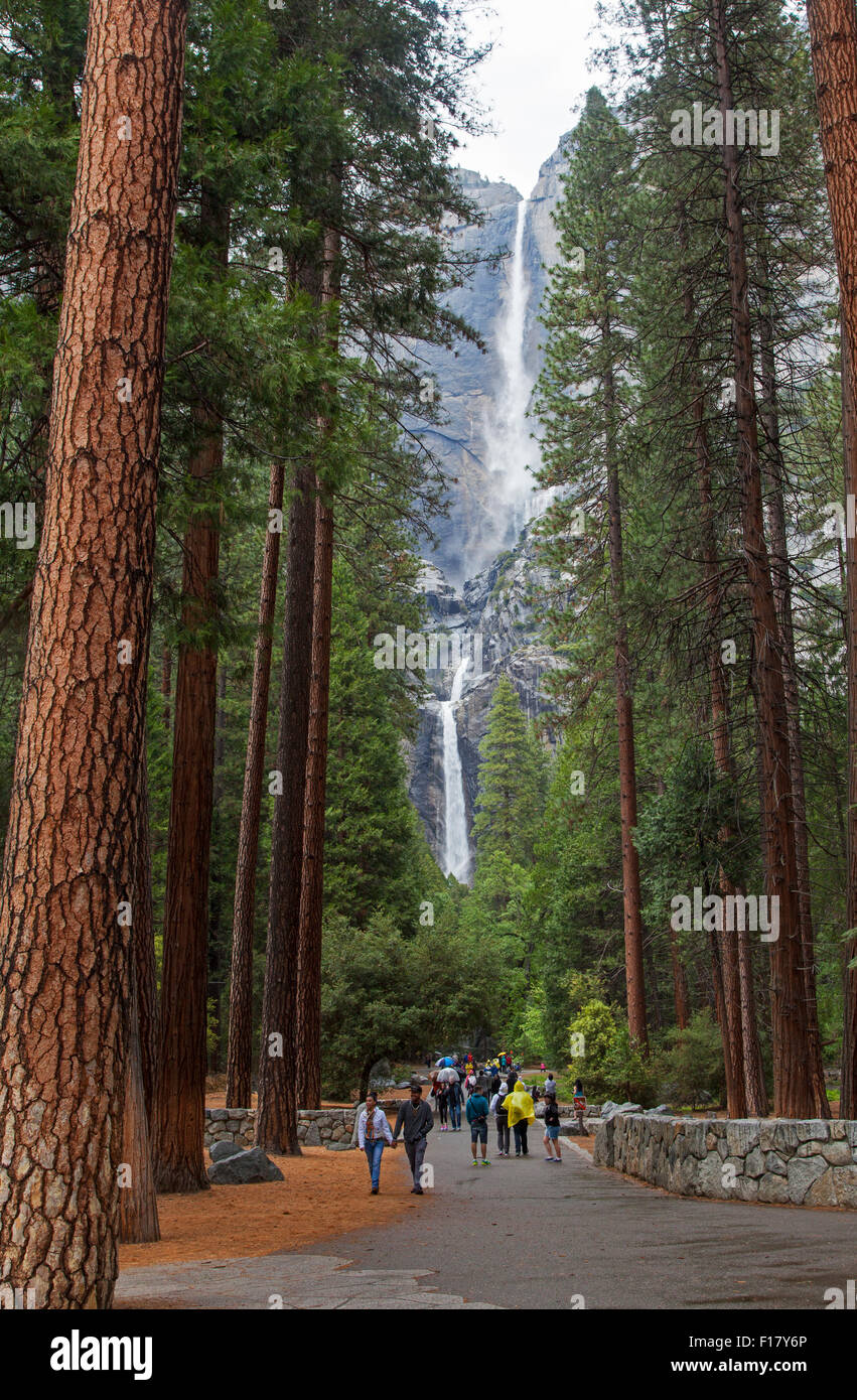 Il parco nazionale di Yosemite Falls, Yosemite National Park, California, Stati Uniti d'America Foto Stock