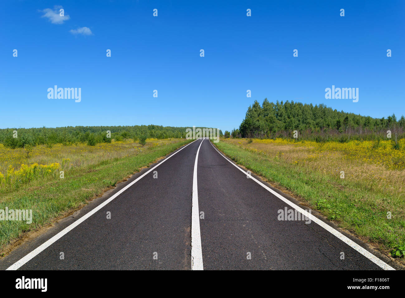 Rural strada asfaltata con contrassegni che va nel bosco e passando attraverso il prato. Cielo blu su una soleggiata giornata estiva Foto Stock